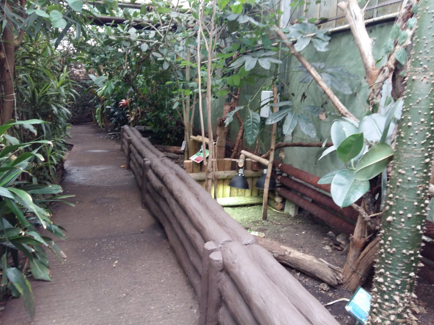 11th Feb 2017 - Tortoise enclosures