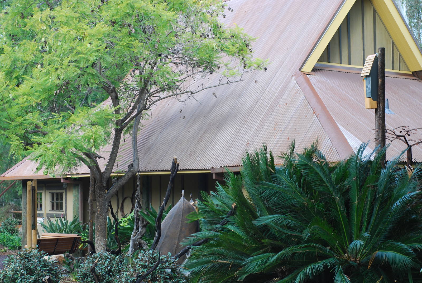 12/15/11 - Bats Outdoor