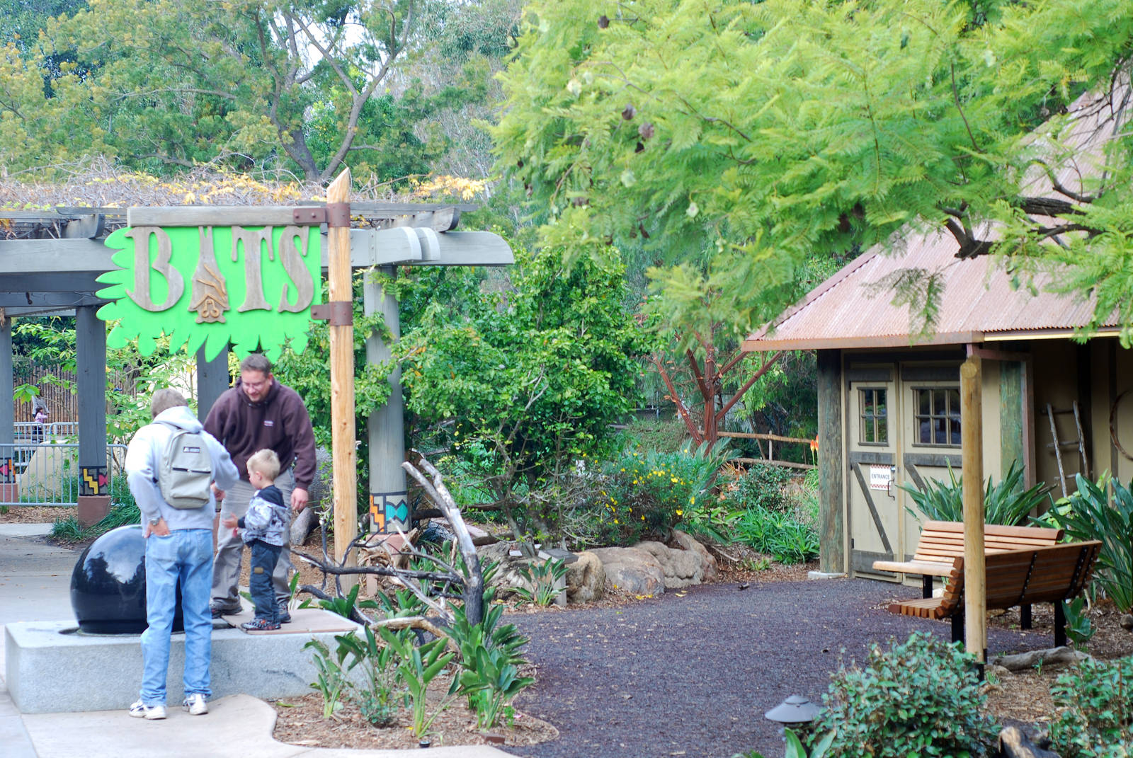 12/15/11 - Bats Outdoor