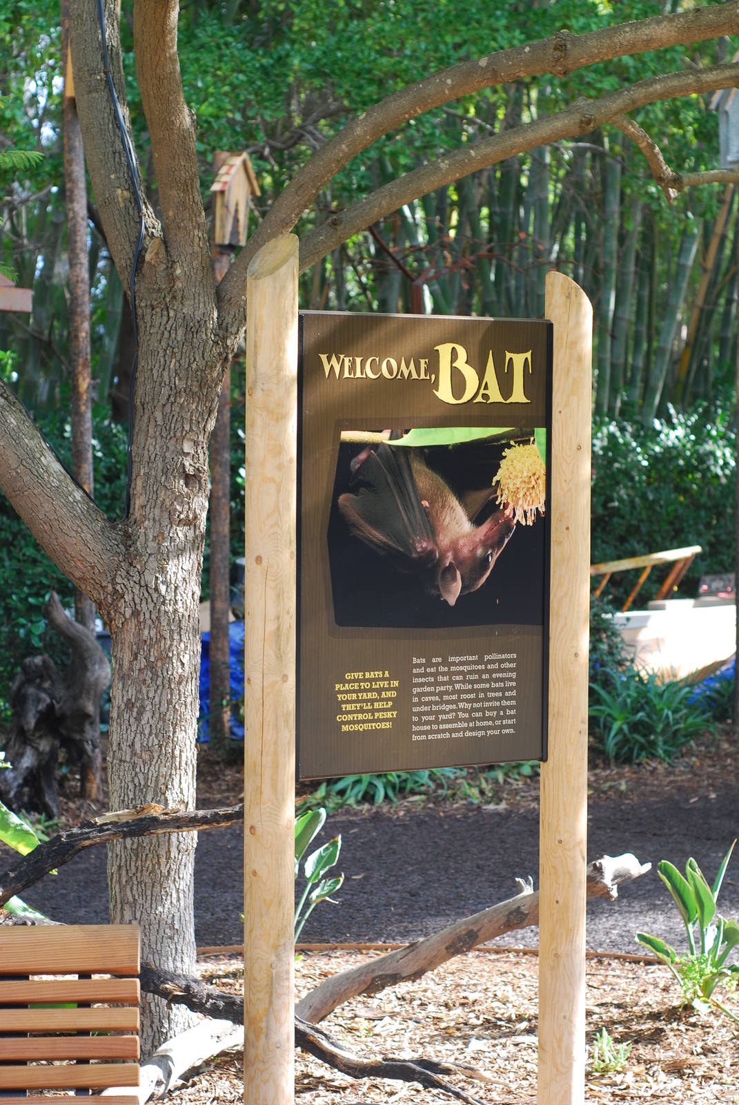 12/15/11 - Bats Signage