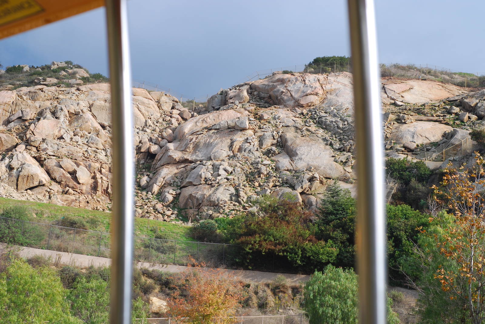 12/15/11 - Bharal sighting?