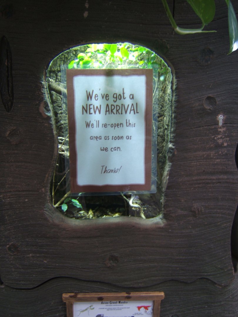 12/2/2017 Info sign in RORA