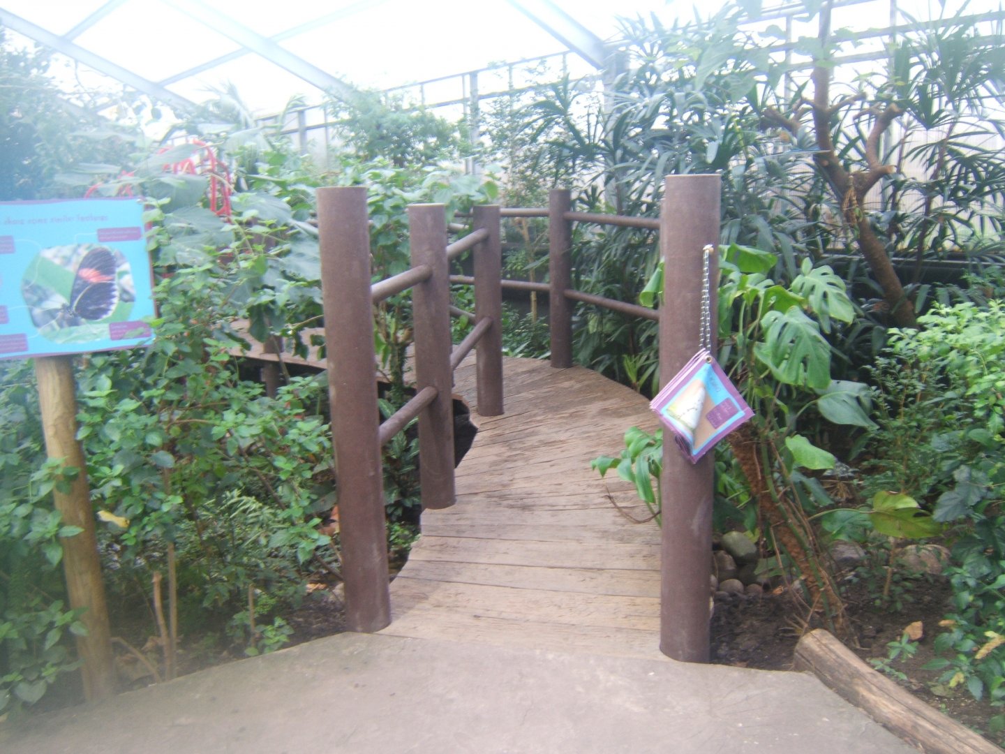 12/2/2017 View of alterations in Butterfly House