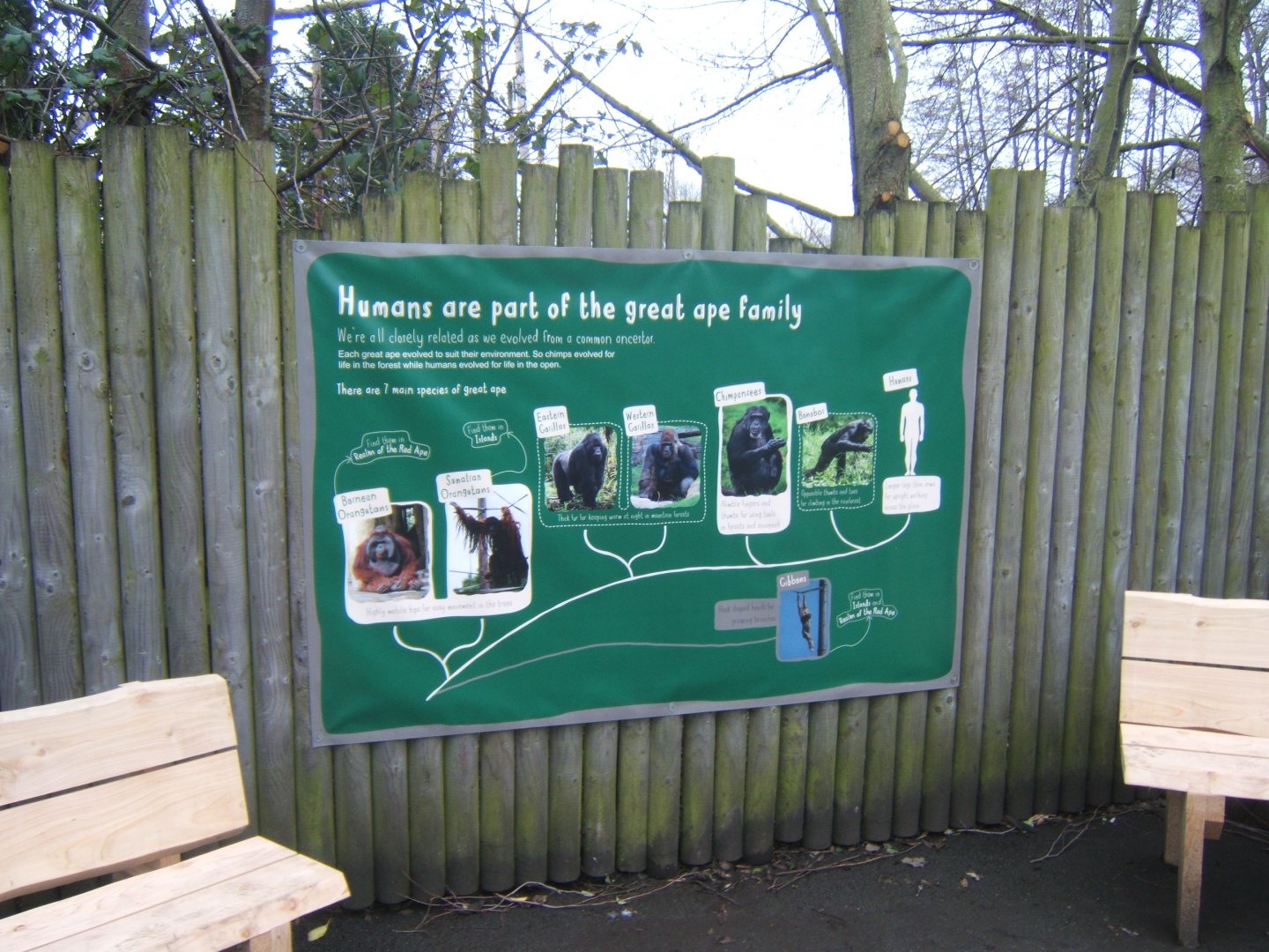 12/2/2017 view of Education banner