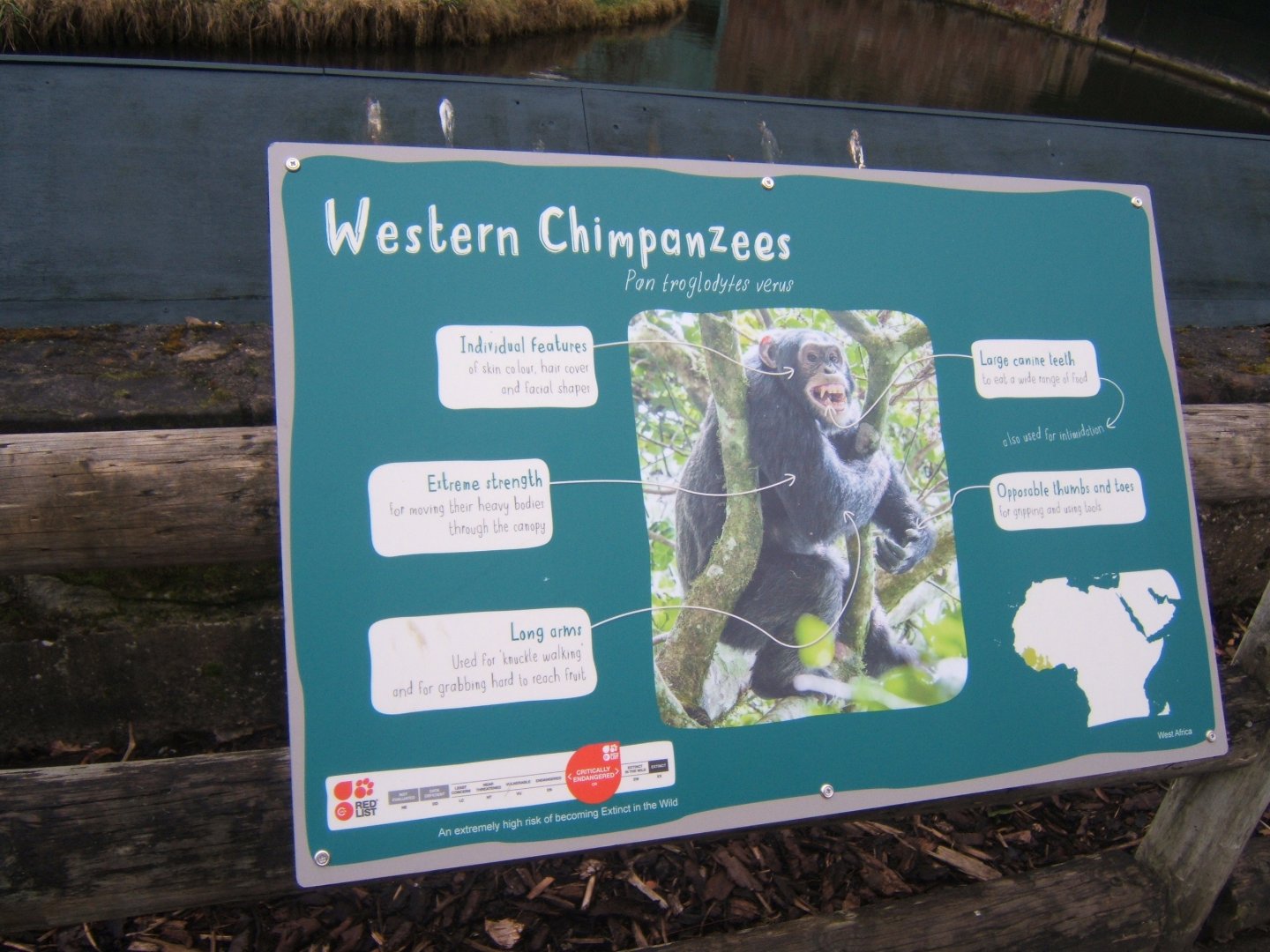 12/2/2017 view of signage style