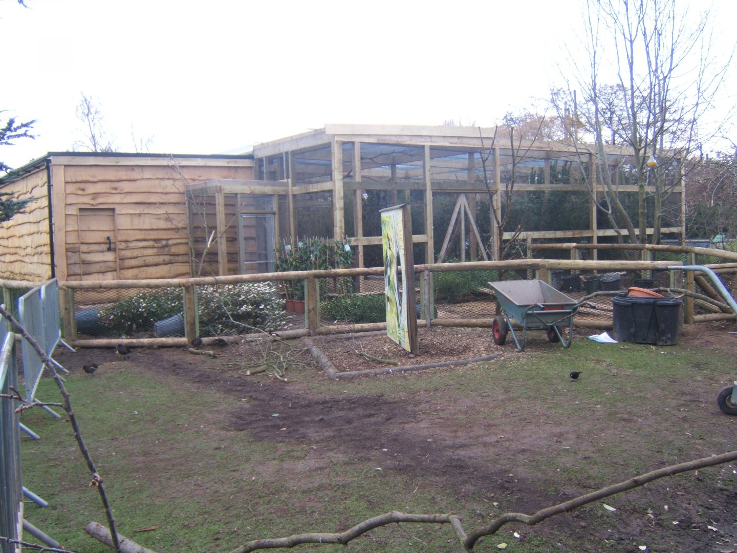 12/2/2017 View of work on new Asian Song Bird aviarys