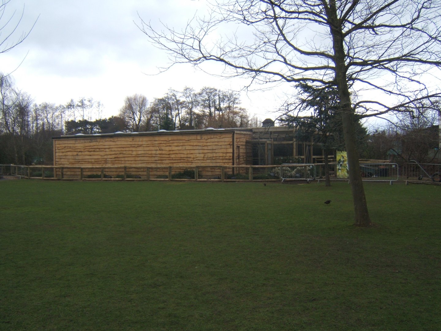 12/2/2017 View of work on new Asian Song Bird aviarys