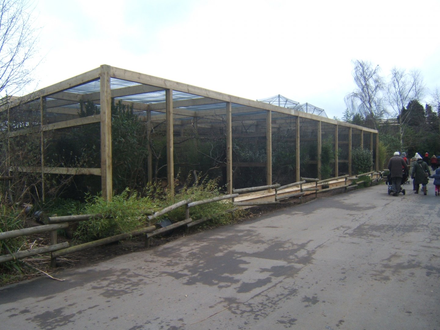 12/2/2017 View of work on new Asian Song Bird aviarys