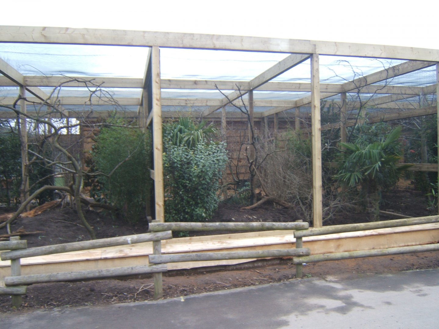 12/2/2017 View of work on new Asian Song Bird aviarys