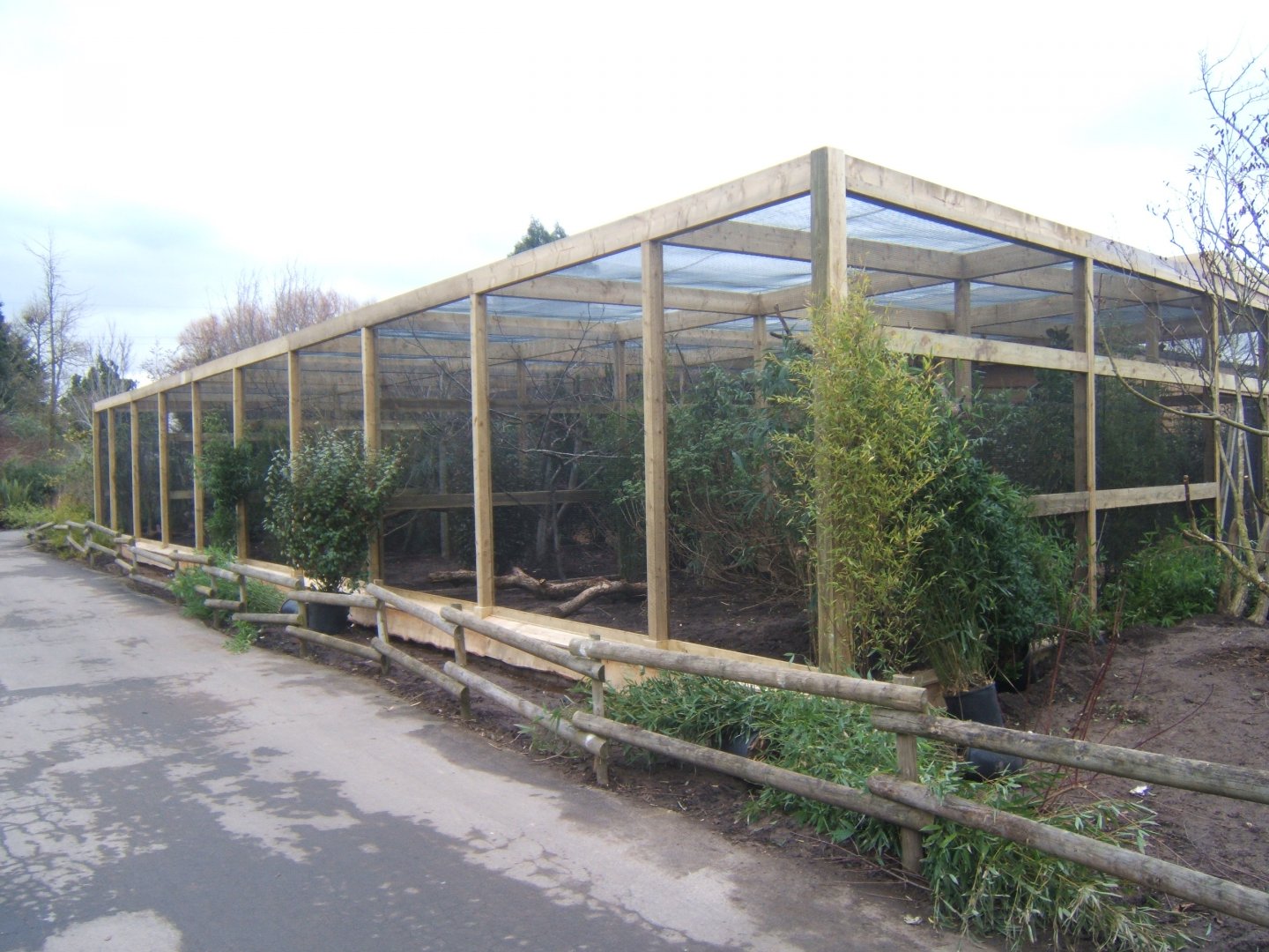 12/2/2017 View of work on new Asian Song Bird aviarys