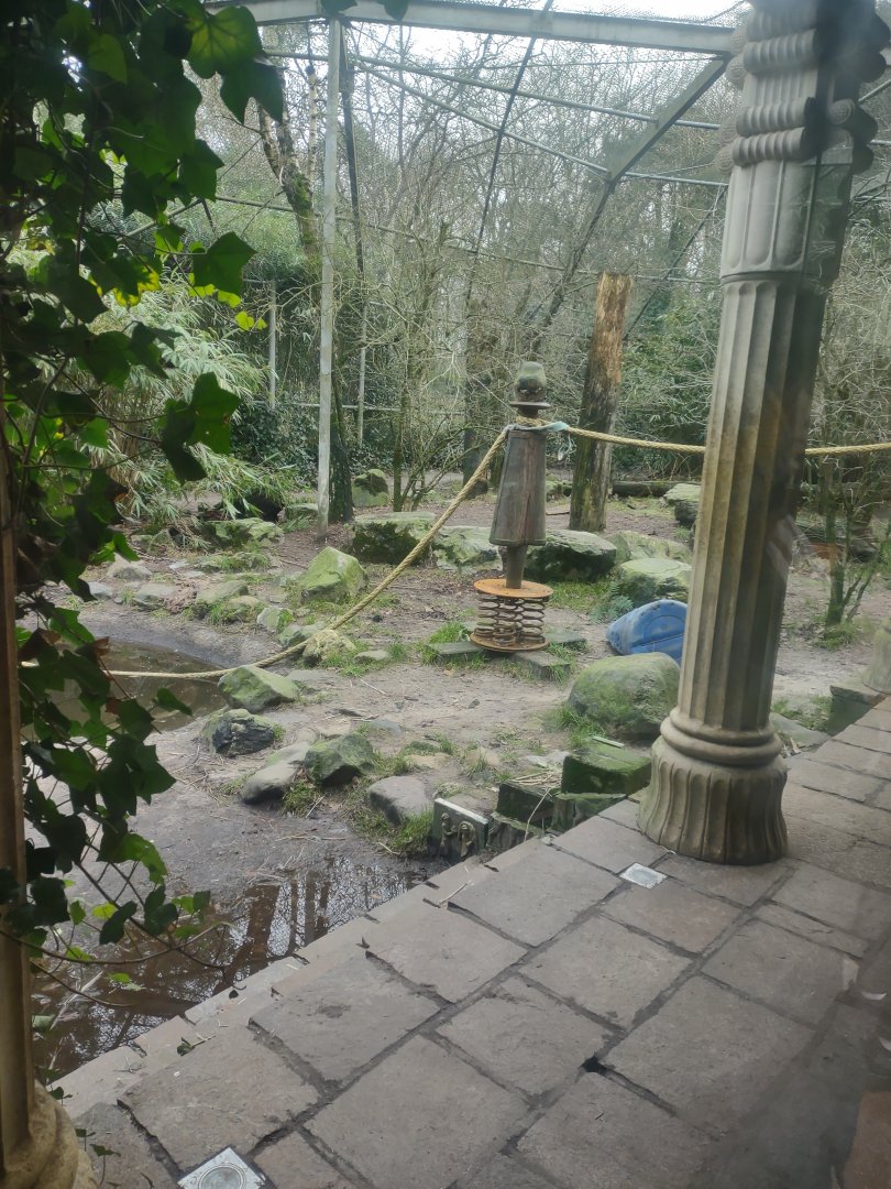 12 2023 - Enrichment at the tiger enclosure