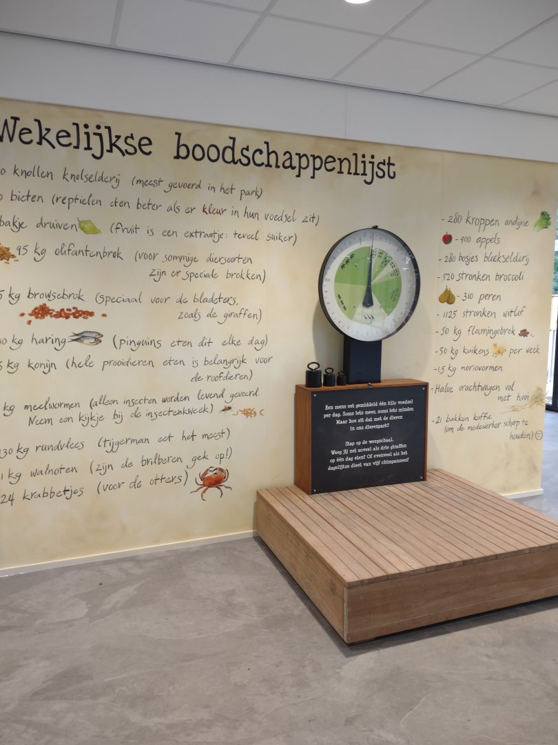 12 2023 - Zoo kitchen inside, weekly shopping list