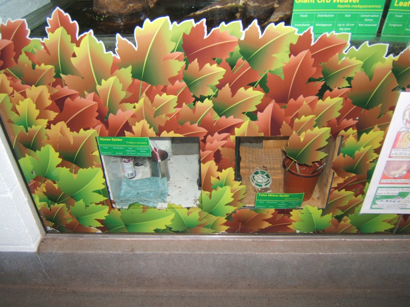 12/3/2017 New Spider exhibits