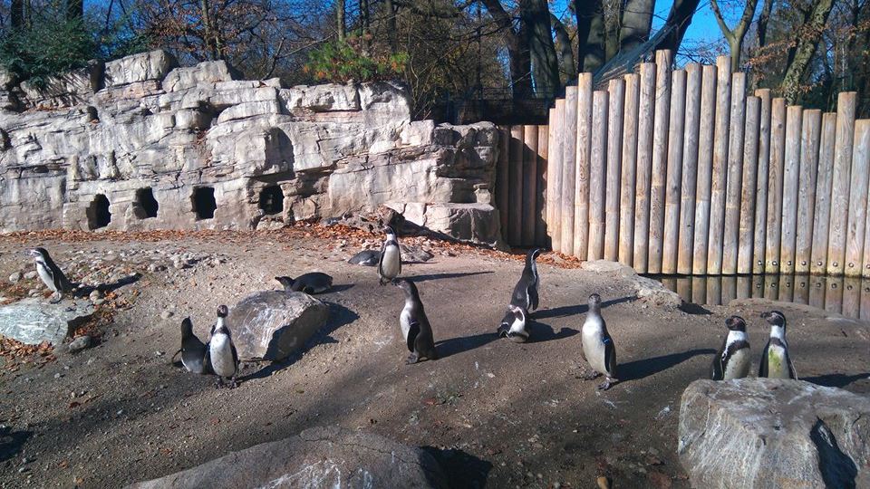 12231333_10153312084733507_792756468_n