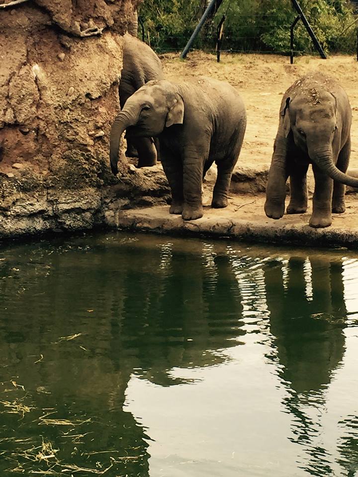 12718095_10209377312131379_2360108559672623646_n