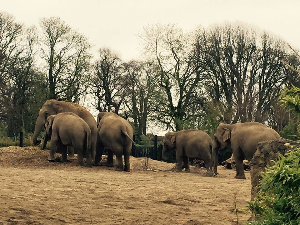 12931077_10209376732276883_3720286307370396494_n