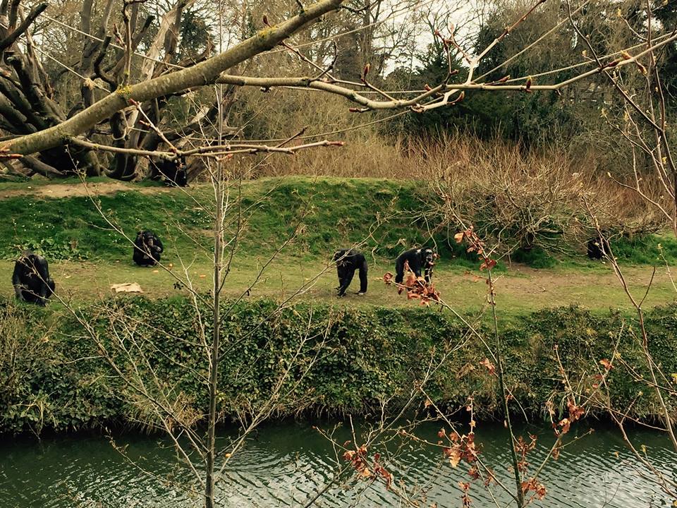 12931201_10209377314211431_7629443160788775482_n