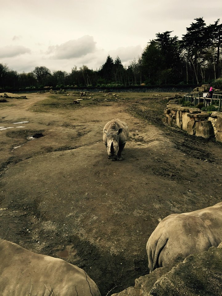 12936565_10209377316931499_4099076311684537156_n