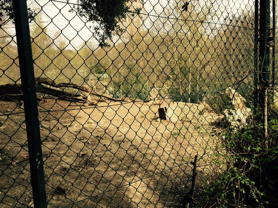 12961702_10209377308611291_5288099584576312732_n