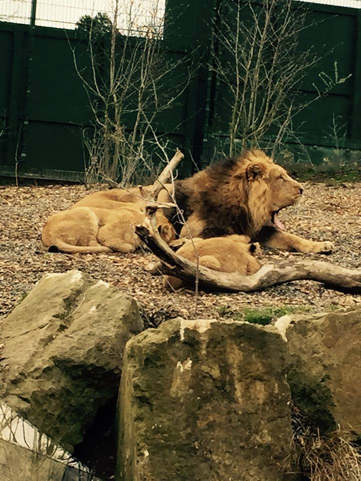 12963480_10209377286970750_3430120676524876155_n