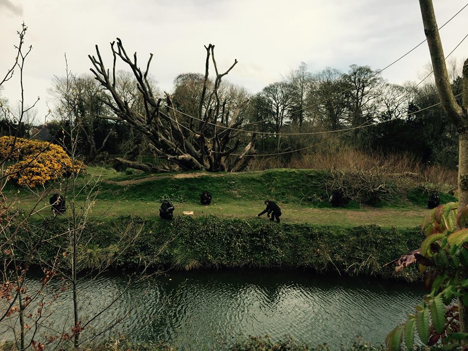 12963496_10209377316851497_8793415166265379660_n