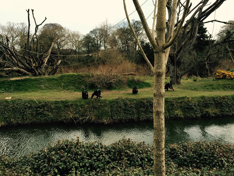 12963563_10209377317491513_8890290018337907013_n