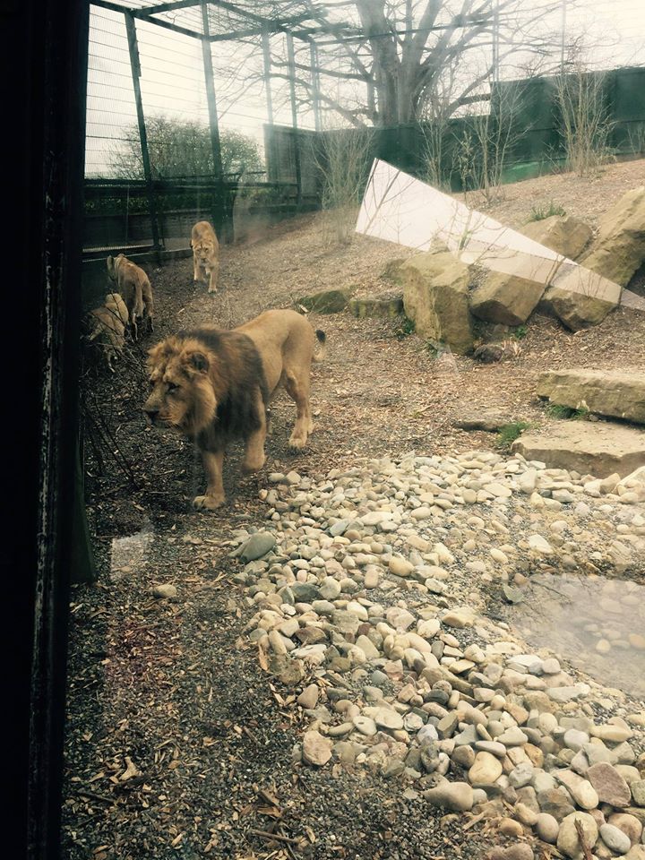 12970925_10209377286810746_7356785510265778729_o