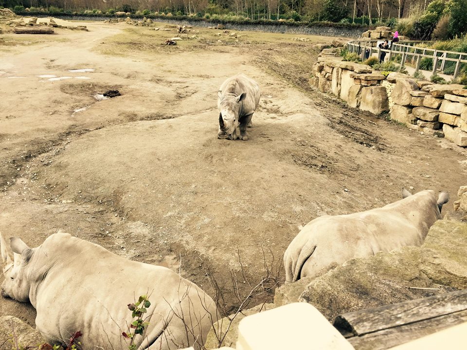 12994407_10209377316891498_8170831325747881552_n