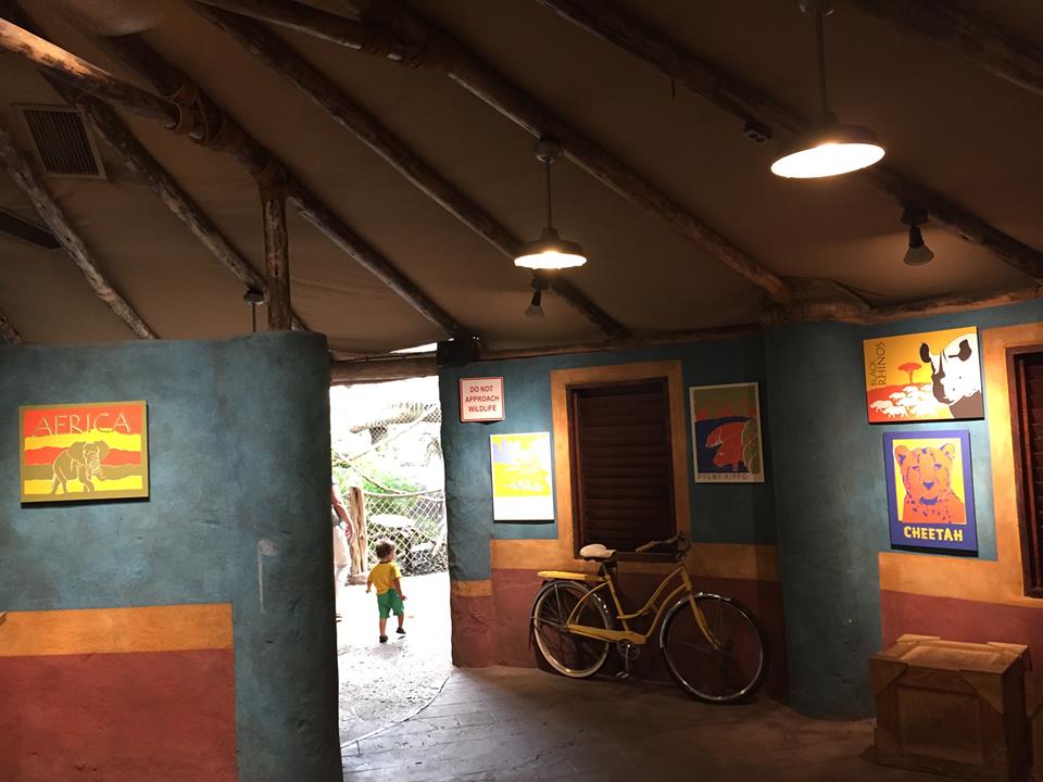 13615103_10210262269734766_2619983829255283308_n