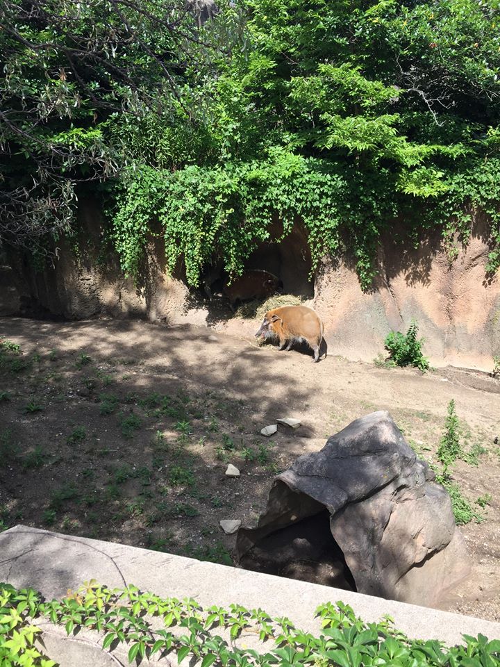 13659201_10210262268654739_7828685109419436628_n