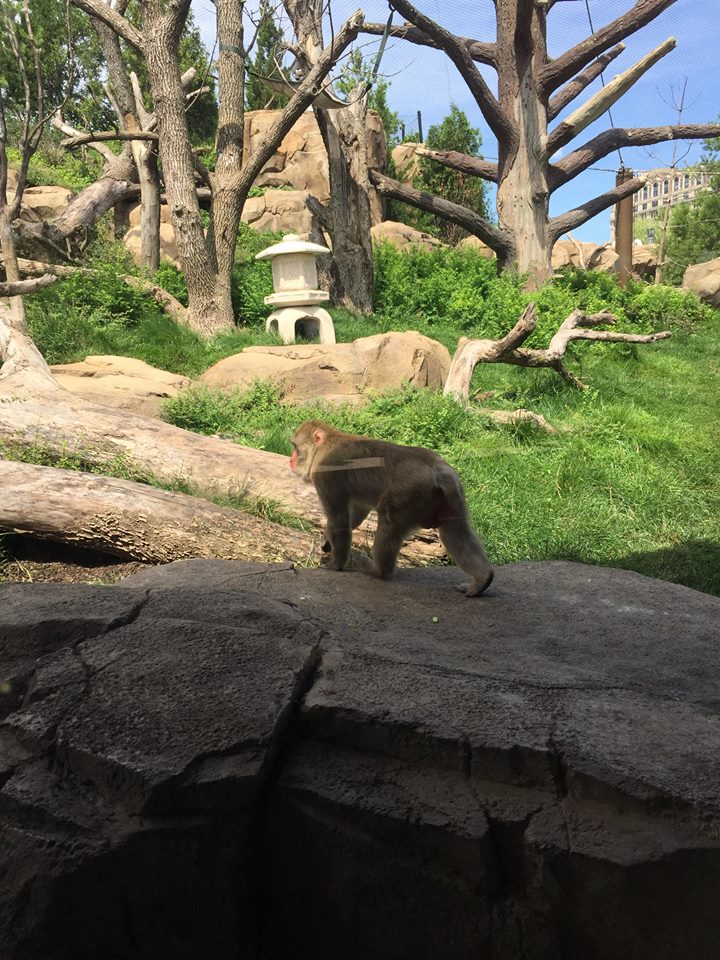 13781976_10210262282135076_1626663203862782227_n