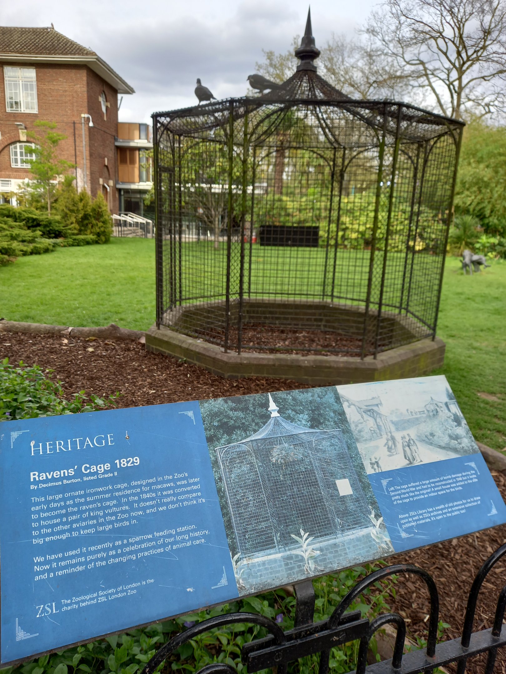 14/04/2024 - 1829 Raven Cage