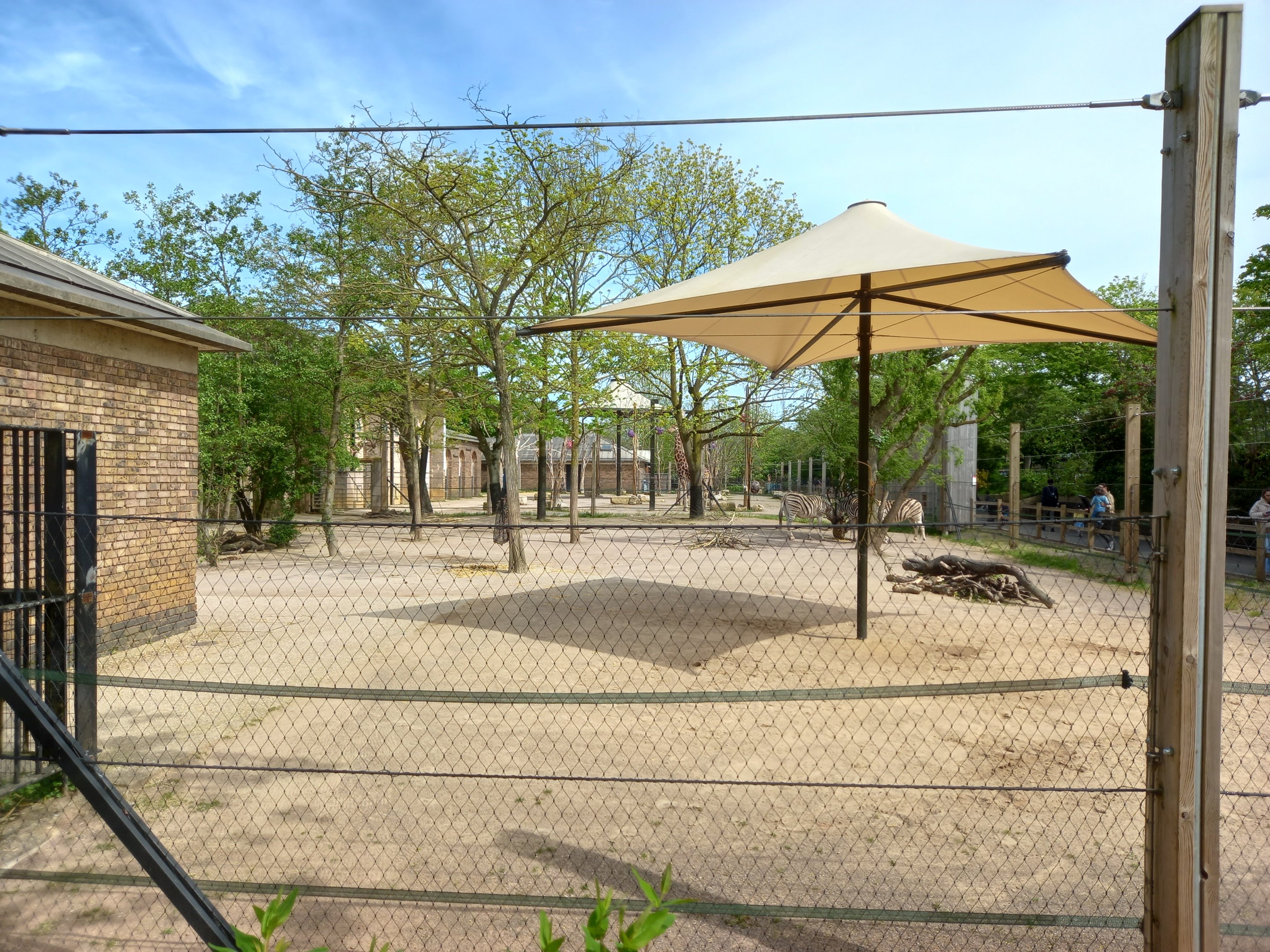 14/04/2024 - Into Africa view