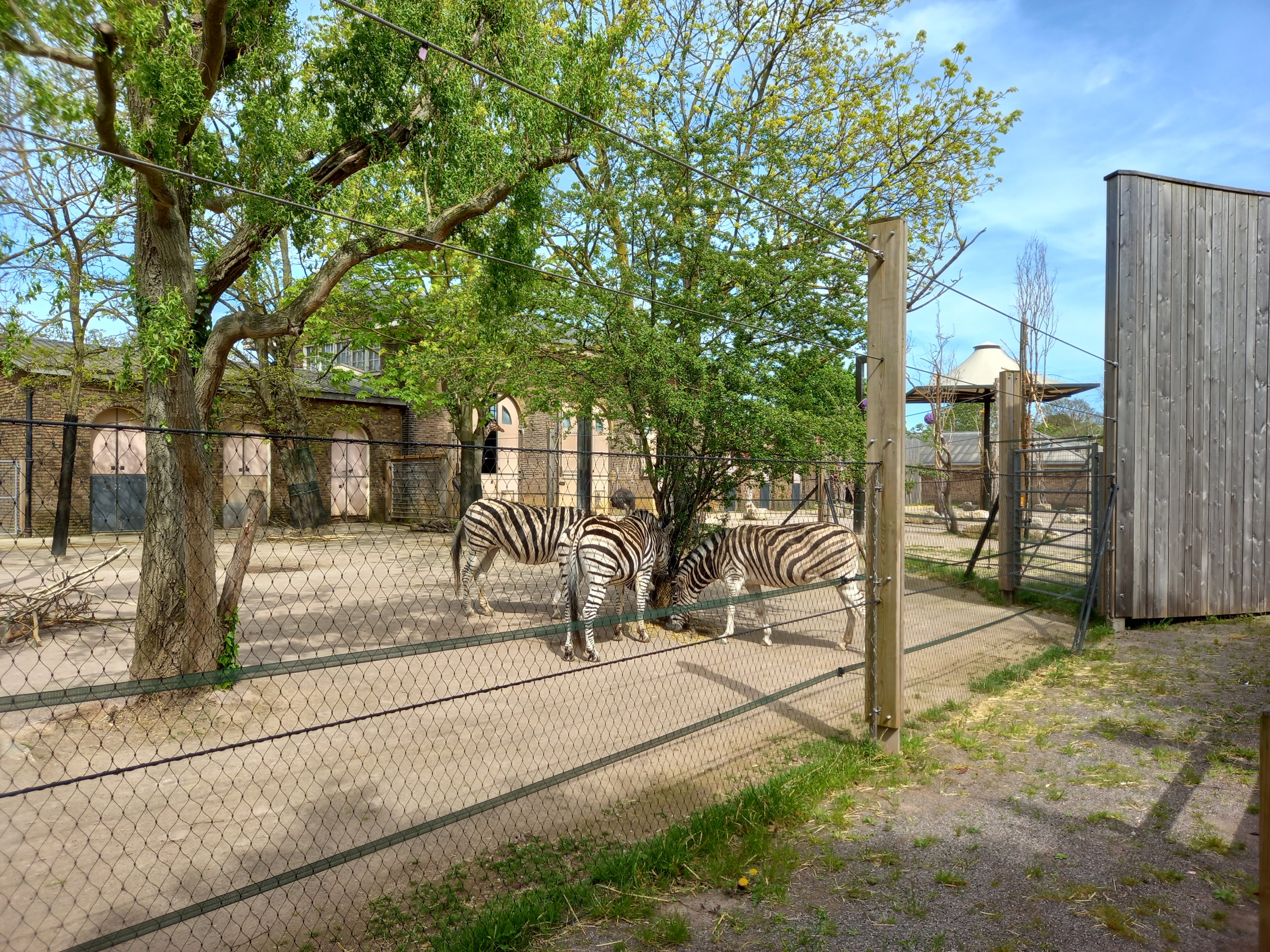 14/04/2024 - Into Africa view