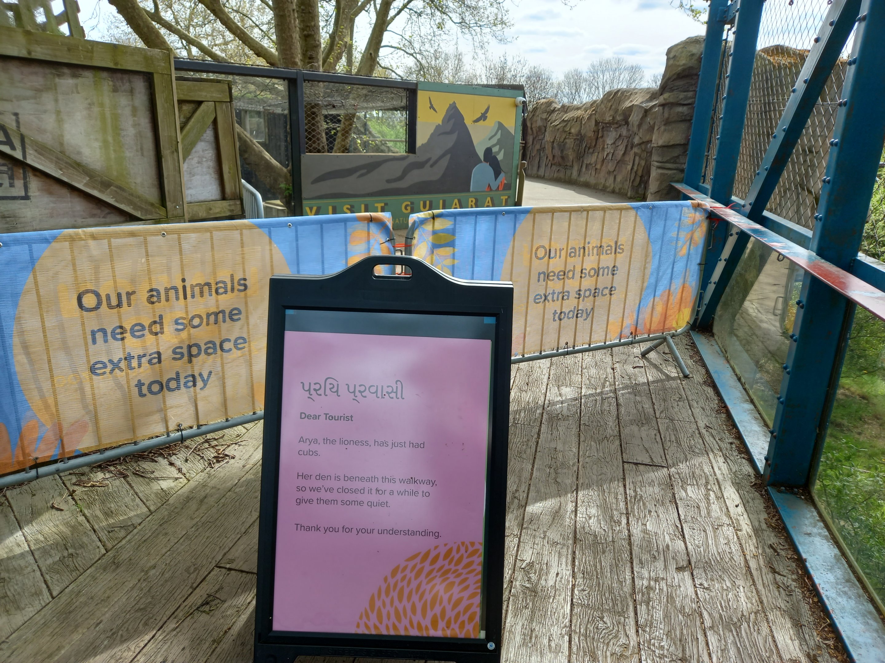 14/04/2024 -Land of the Lions boardwalk