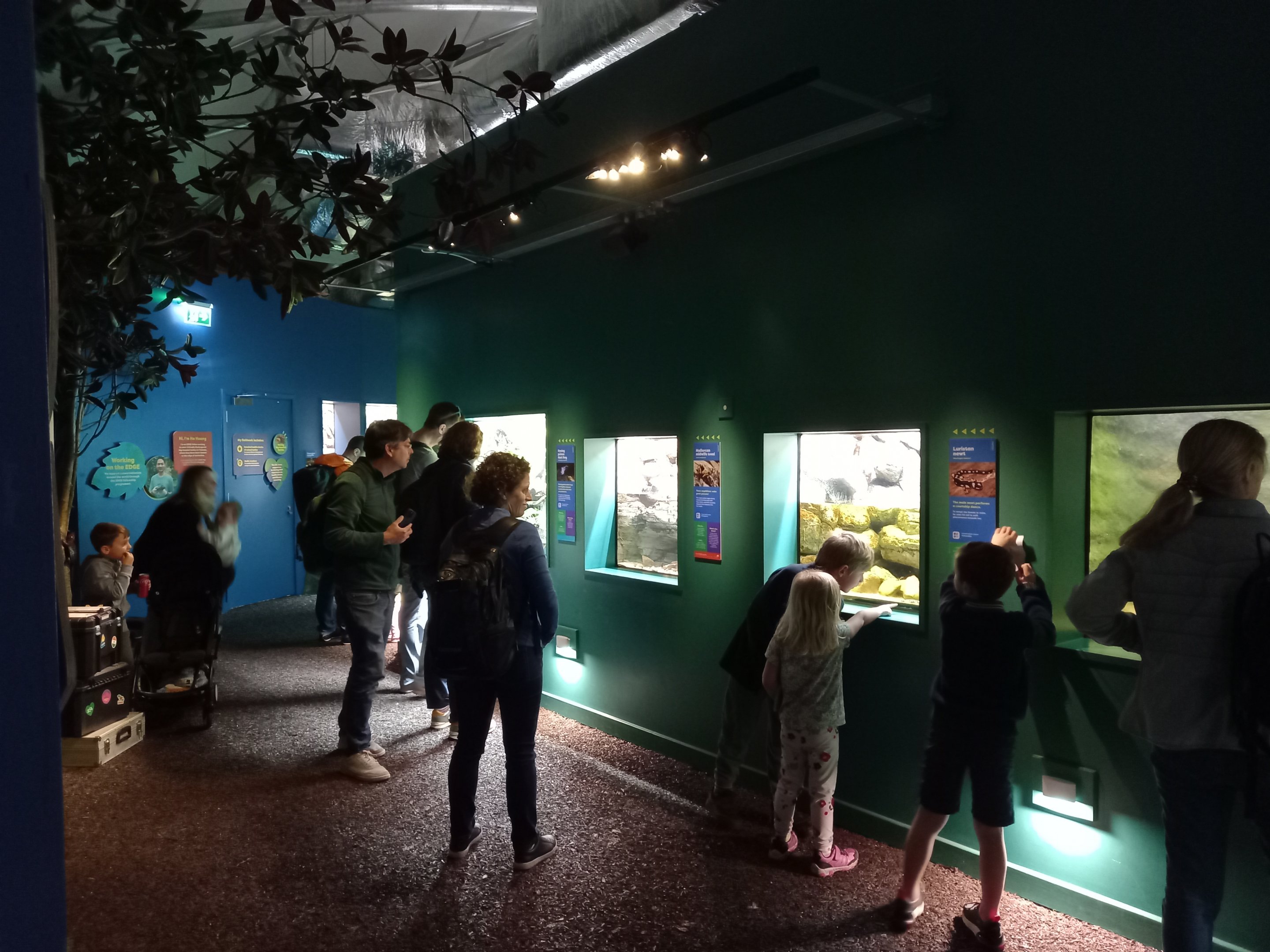 14/04/2024 - Reptile and Amphibian House general view