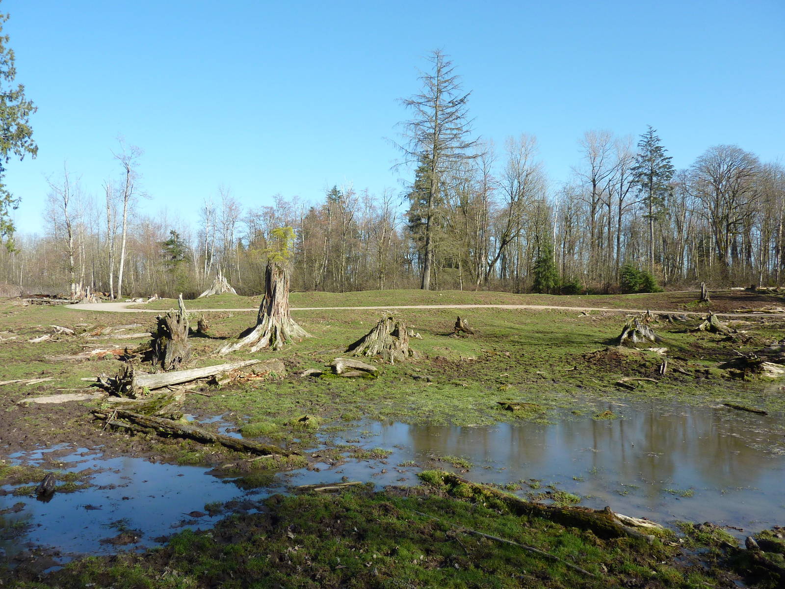 15-Acre Roosevelt Elk/Bison Enclosure