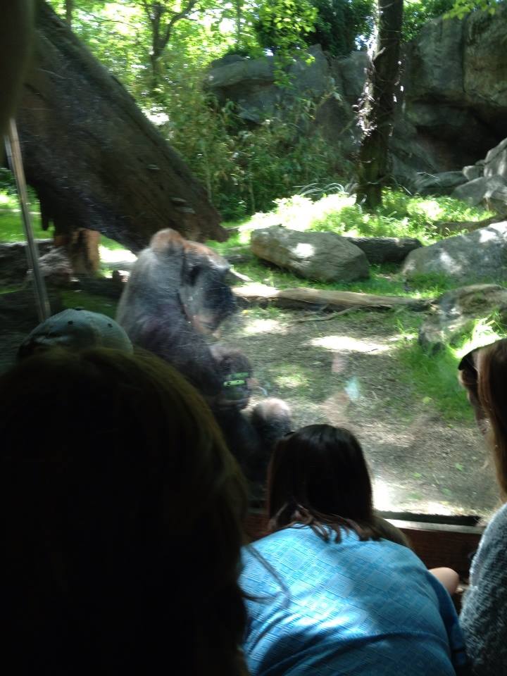 1549210_10203998361300970_9154652440098381597_n