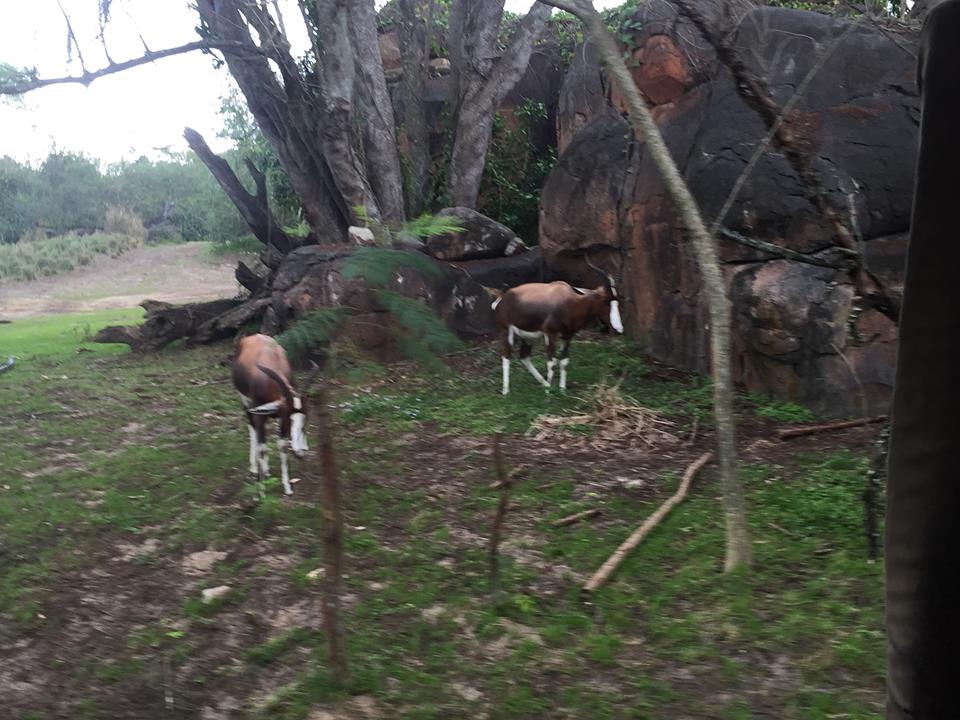 15965103_10212004053318267_4172386405399839412_n