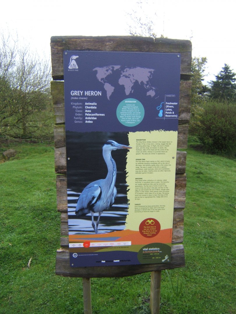 16/4/2017 Clutching at straws when you have to sign a wild species!!