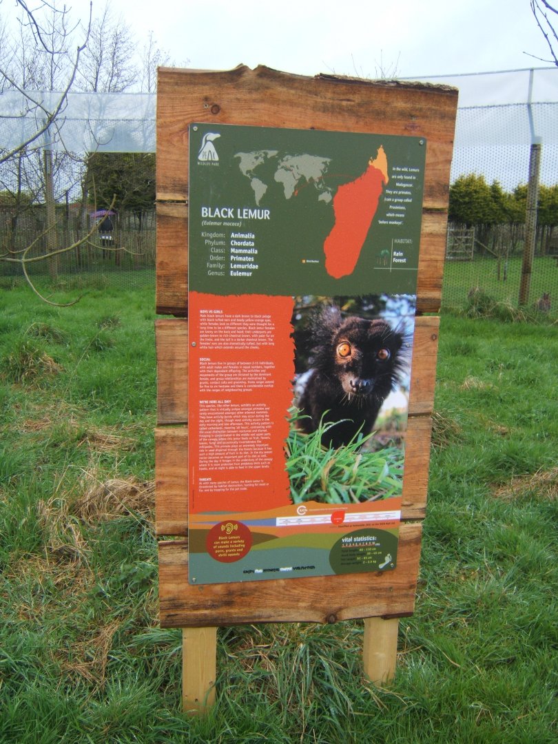 16/4/2017 Signage style