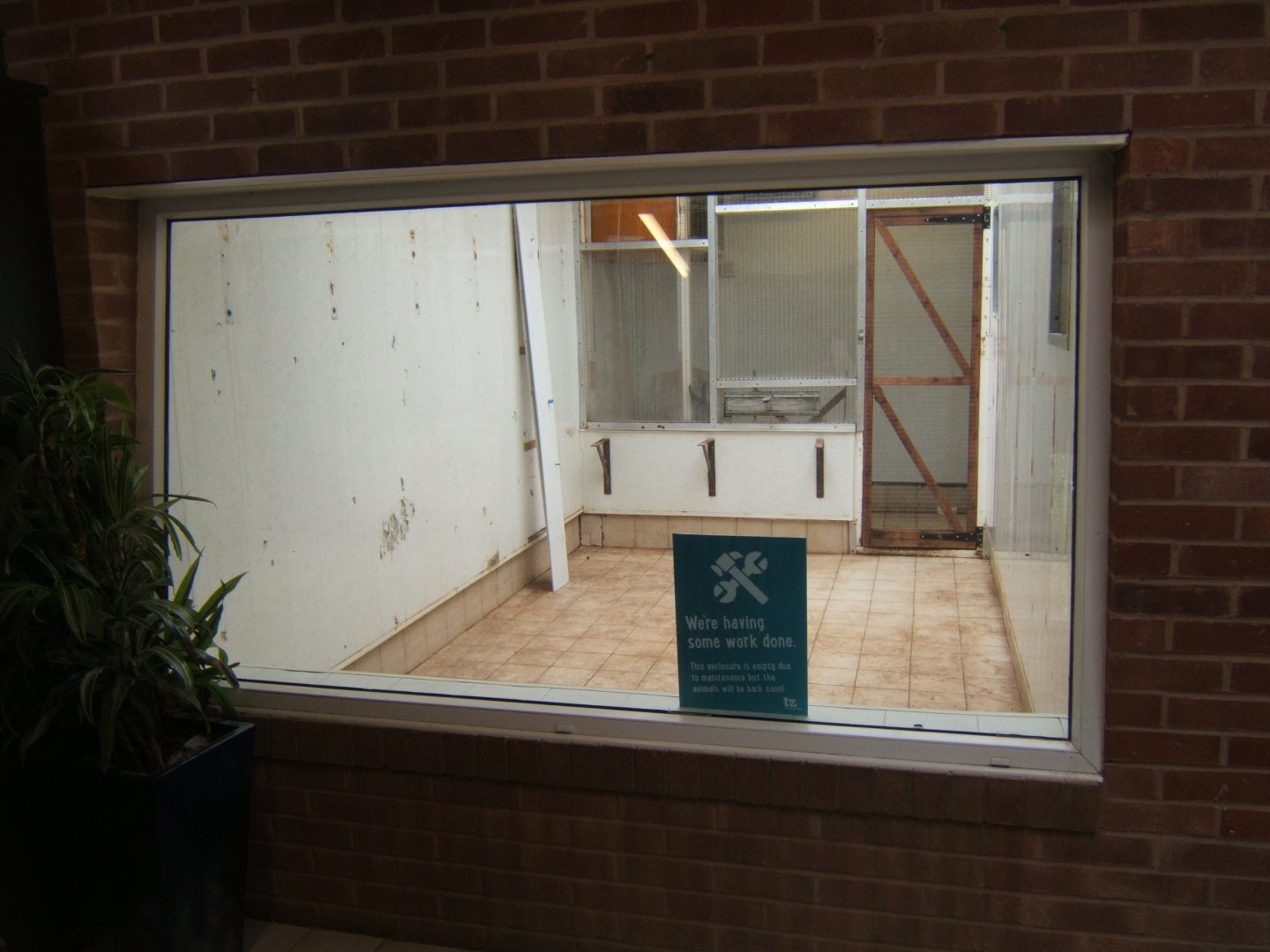 16/4/2017 View of the empty former Boa Constrictor exhibit