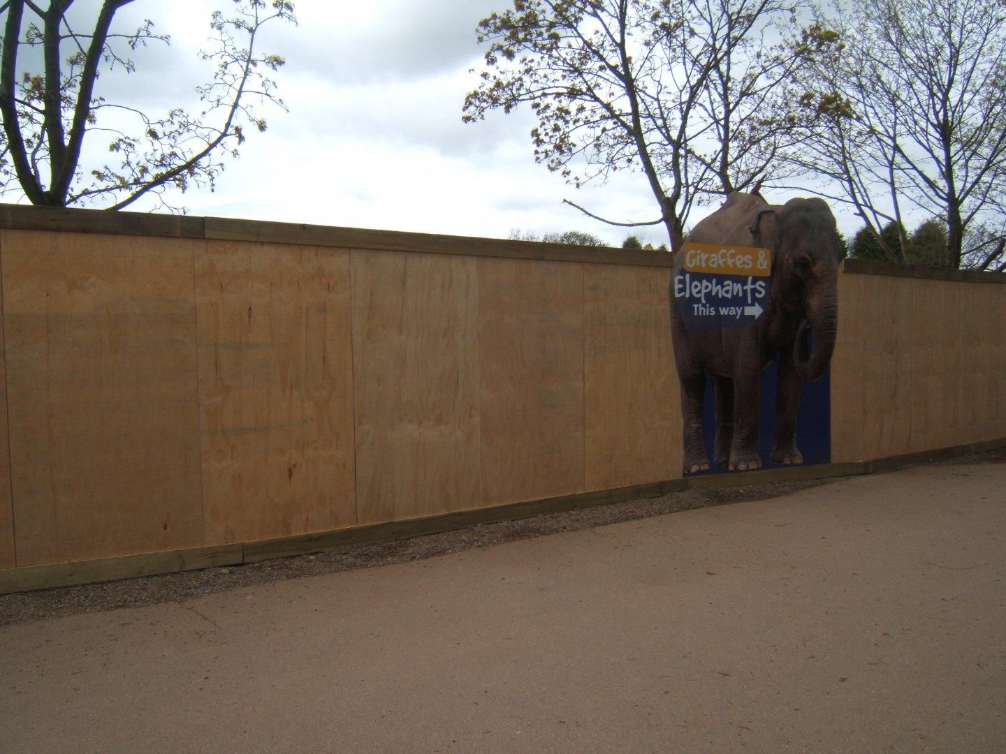 16/4/2017 View of the hoarding round the supposed Chimp build