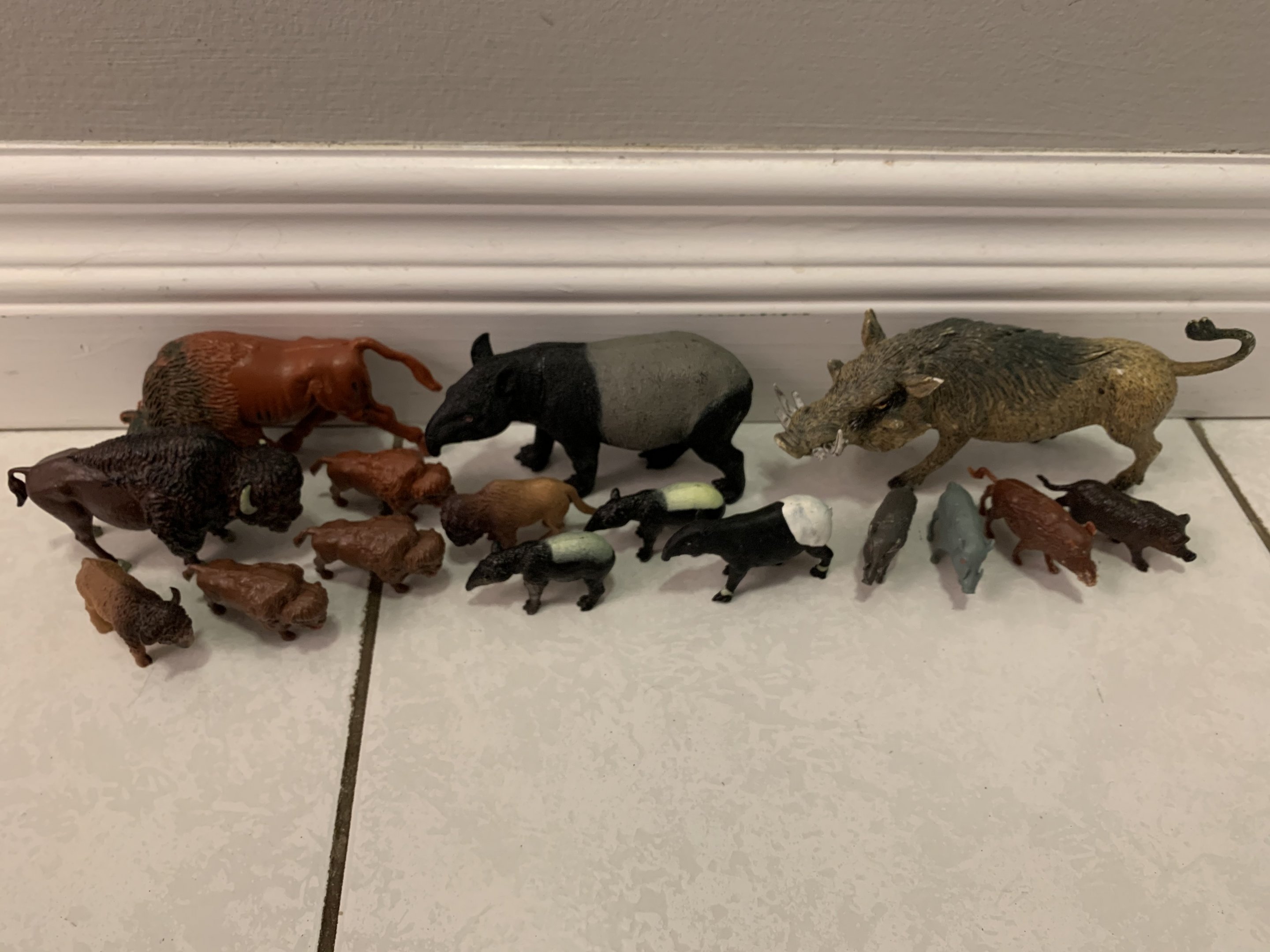 16 American Bison + Malayan Tapirs + Pigs