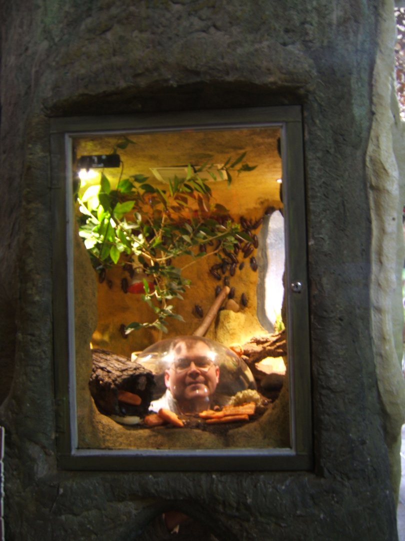 18/3/2017 Just no need