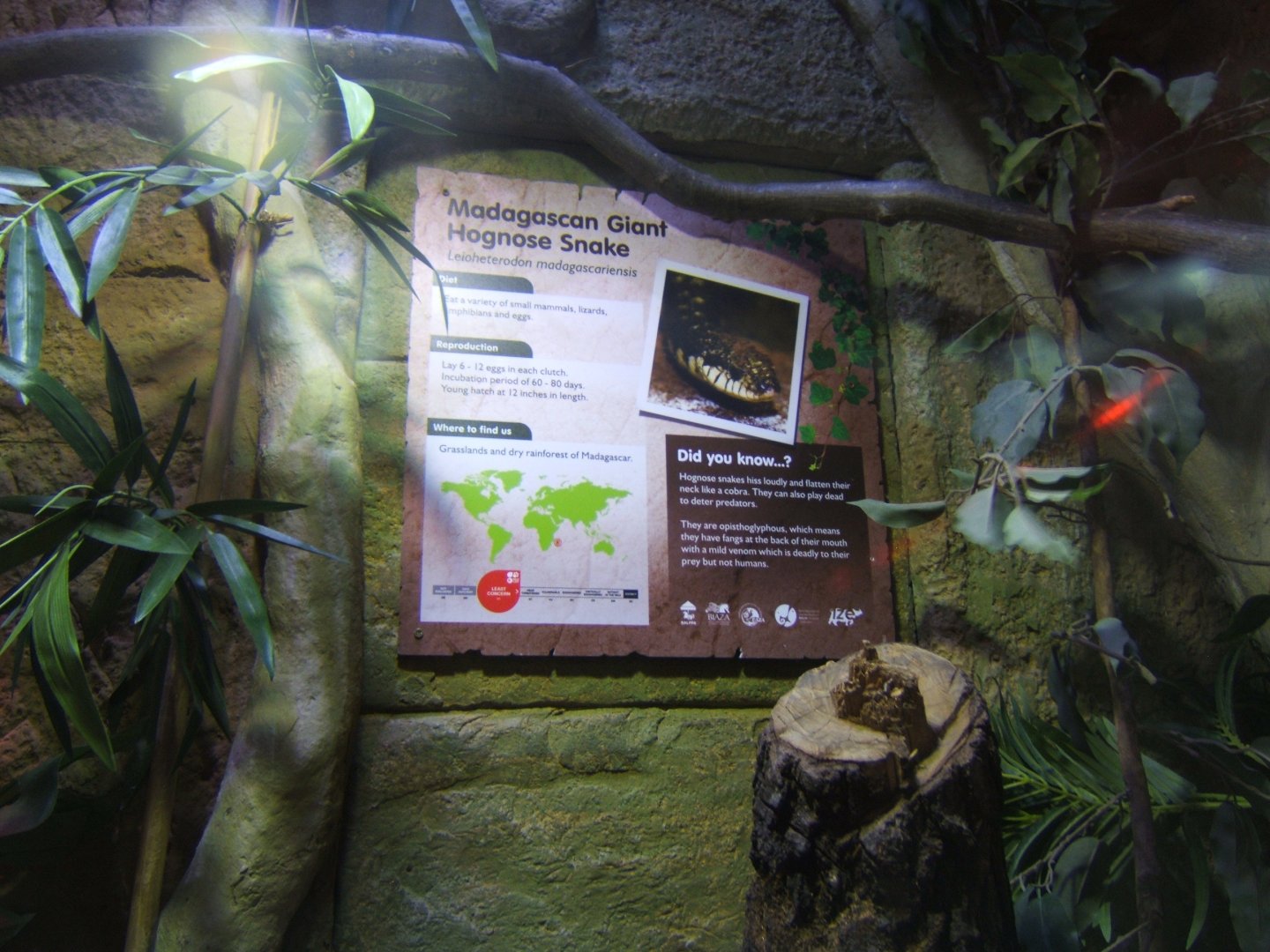 18/3/2017 Signage style