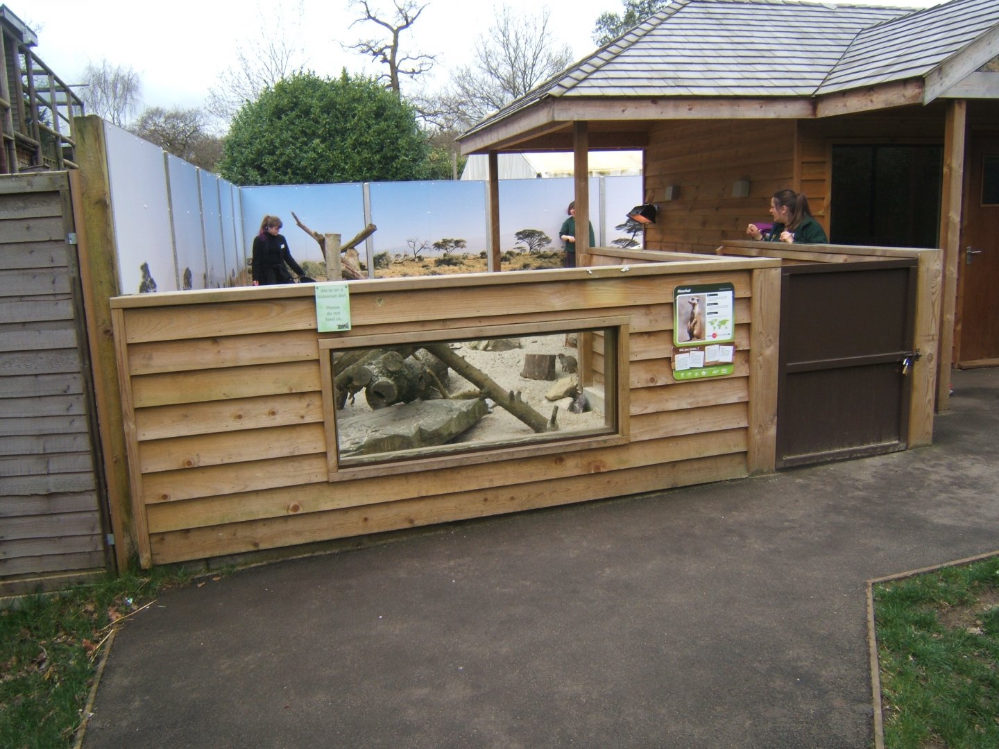 18/3/2017 View of a different Meerkat enclosure
