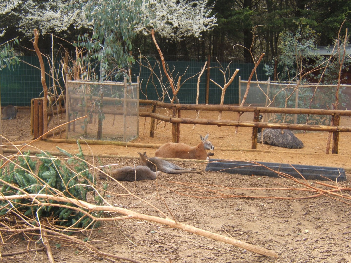 18/3/2017 View of Australia exhibit