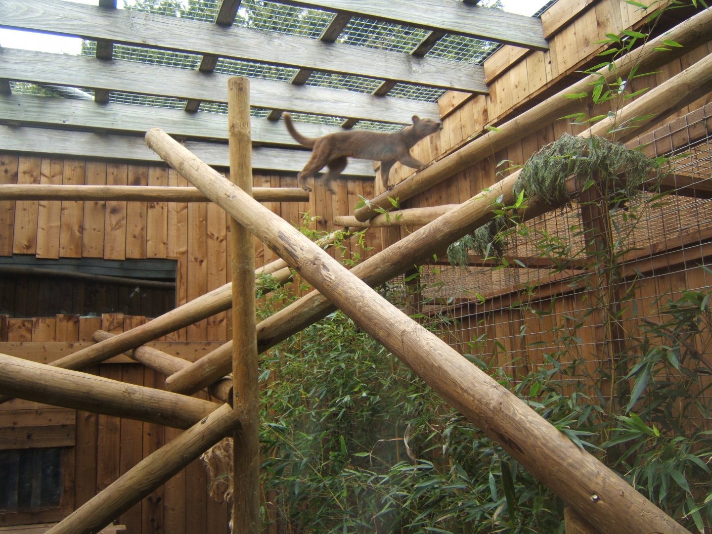 18/3/2017 View of Fossa and enclosure