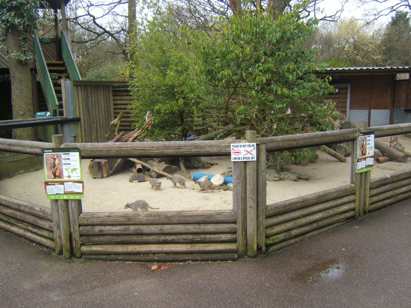 18/3/2017 View of one of the Meerkat enclosures